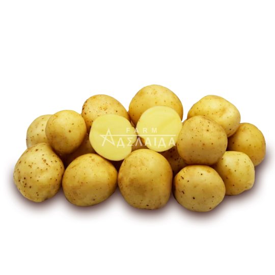 Рів'єра
