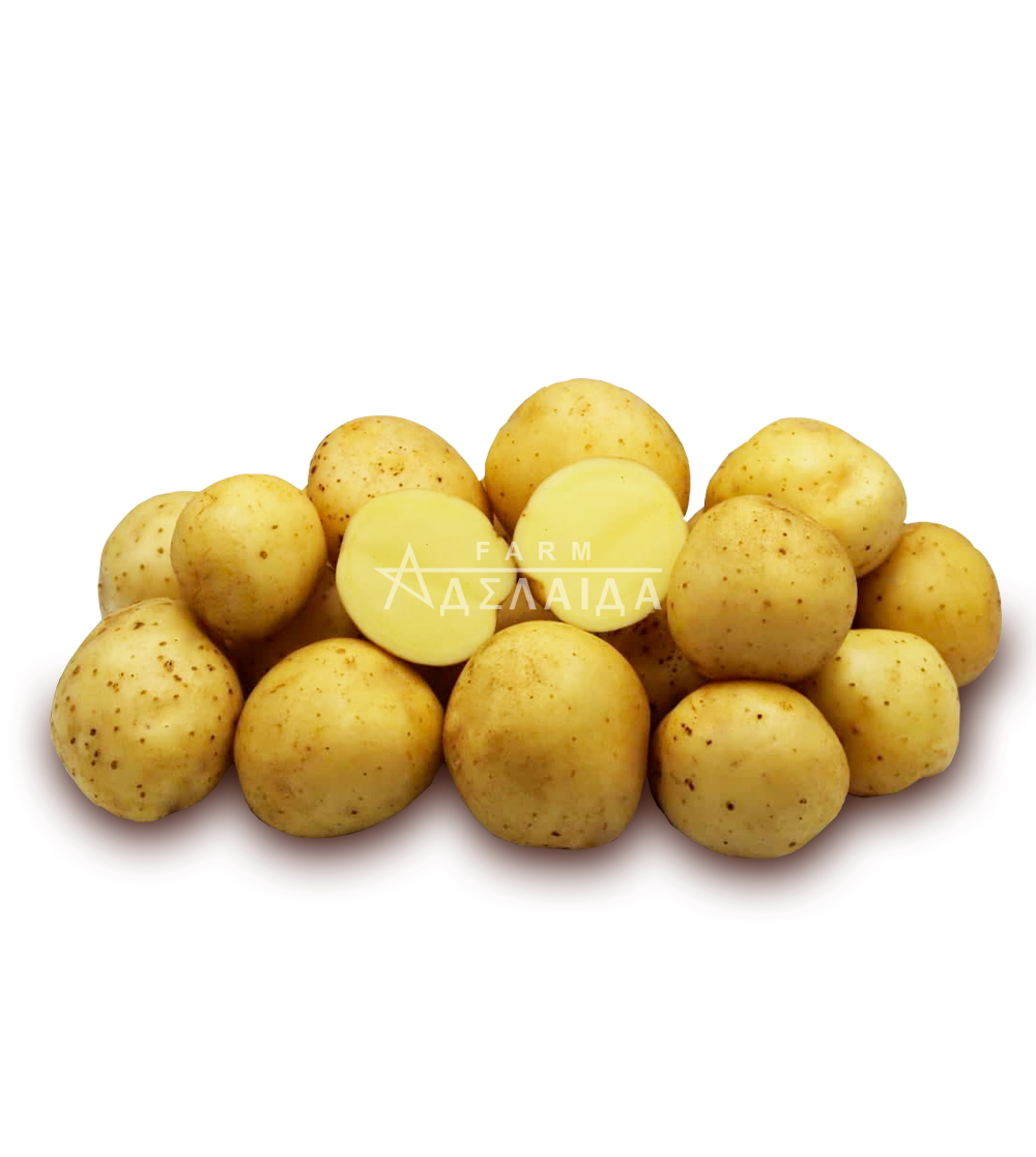 Рів'єра
